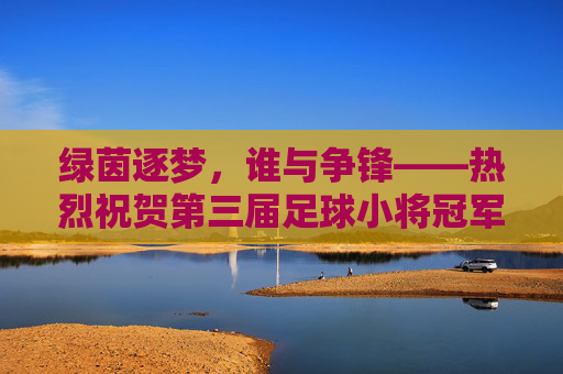 绿茵逐梦,谁与争锋——热烈祝贺第三届足球小将冠军诞生