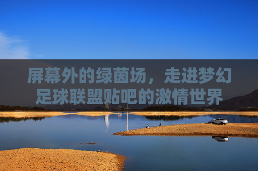 屏幕外的绿茵场,走进梦幻足球联盟贴吧的激情世界