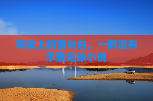 草皮上的蓝与白,一部温布尔登足球小说