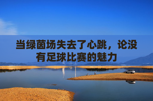 当绿茵场失去了心跳,论没有足球比赛的魅力