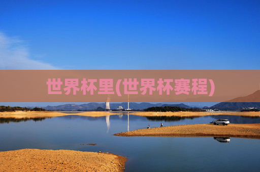 世界杯里(世界杯赛程)