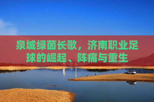 泉城绿茵长歌,济南职业足球的崛起、阵痛与重生