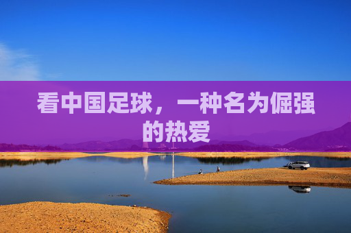看中国足球,一种名为倔强的热爱