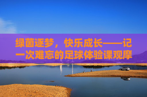 绿茵逐梦,快乐成长——记一次难忘的足球体验课观摩心得
