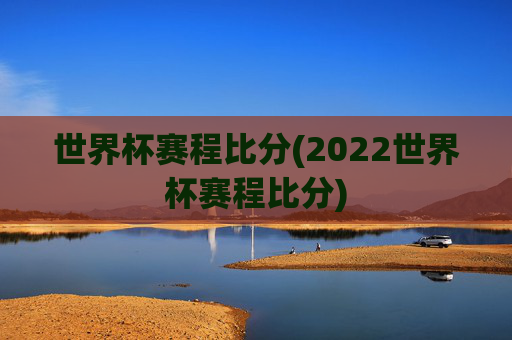 世界杯赛程比分(2022世界杯赛程比分)