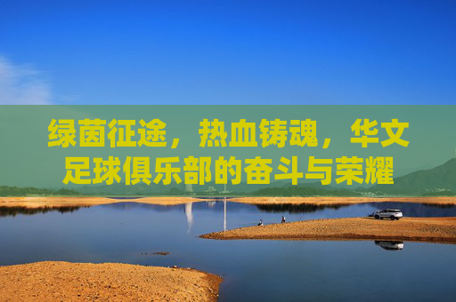 绿茵征途,热血铸魂,华文足球俱乐部的奋斗与荣耀