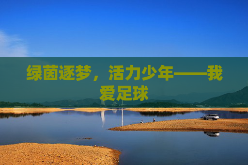 绿茵逐梦,活力少年——我爱足球