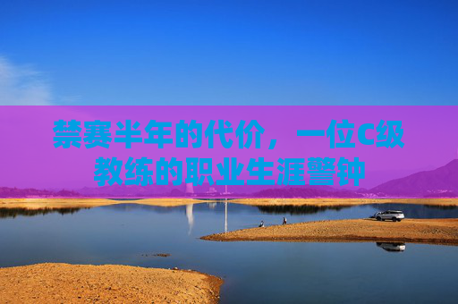 禁赛半年的代价,一位C级教练的职业生涯警钟