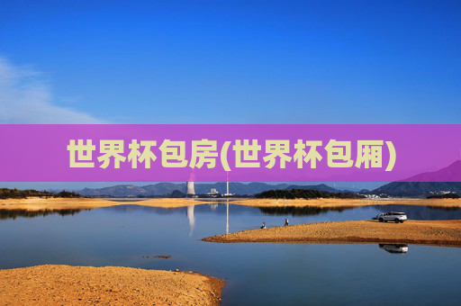 世界杯包房(世界杯包厢)