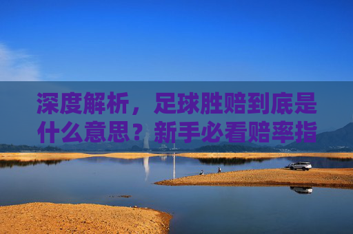 深度解析,足球胜赔到底是什么意思?新手必看赔率指南