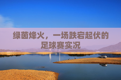 绿茵烽火,一场跌宕起伏的足球赛实况
