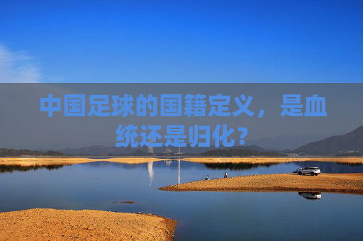 中国足球的国籍定义,是血统还是归化?