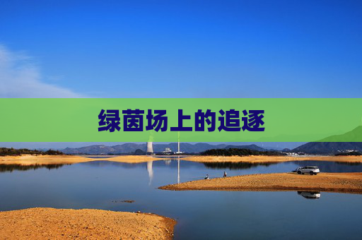 绿茵场上的追逐
