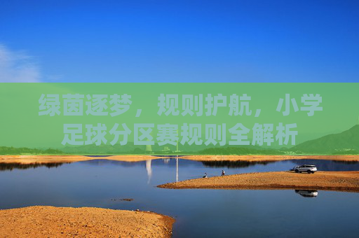 绿茵逐梦，规则护航，小学足球分区赛规则全解析