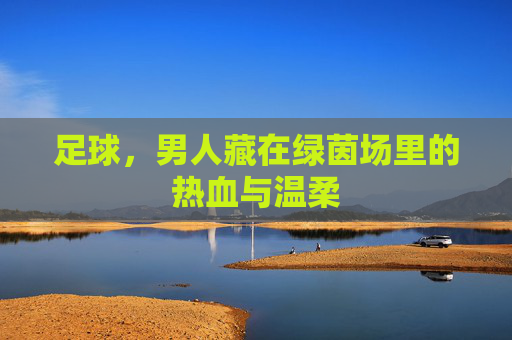 足球,男人藏在绿茵场里的热血与温柔
