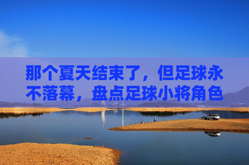 那个夏天结束了,但足球永不落幕,盘点足球小将角色的各自结局