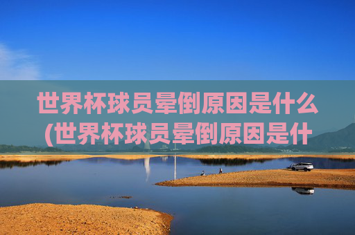 世界杯球员晕倒原因是什么(世界杯球员晕倒原因是什么呢)