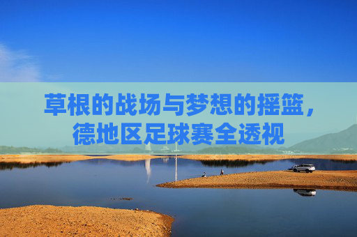 草根的战场与梦想的摇篮，德地区足球赛全透视
