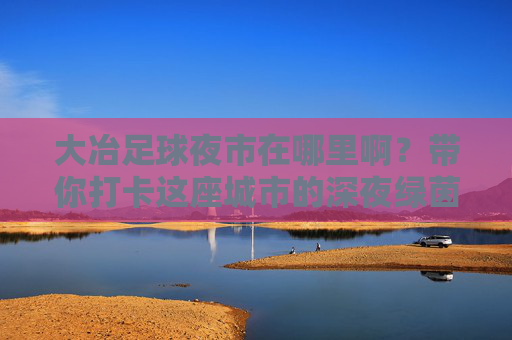 大冶足球夜市在哪里啊？带你打卡这座城市的深夜绿茵场