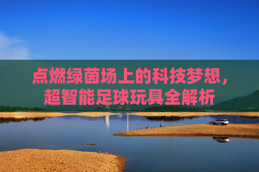 点燃绿茵场上的科技梦想，超智能足球玩具全解析
