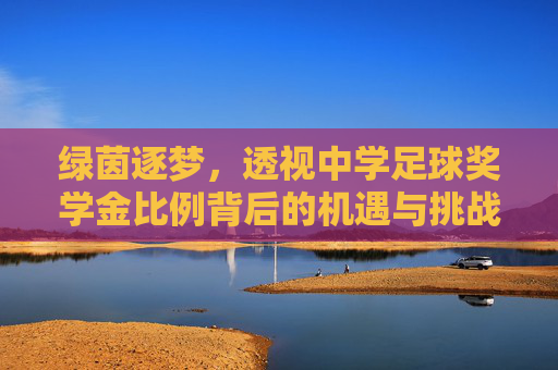 绿茵逐梦,透视中学足球奖学金比例背后的机遇与挑战