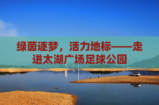 绿茵逐梦,活力地标——走进太湖广场足球公园