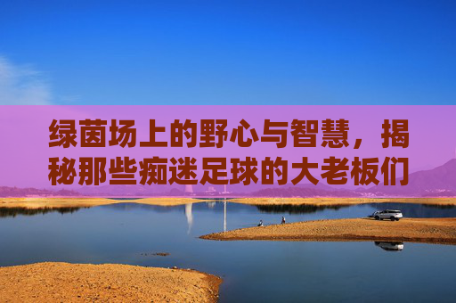 绿茵场上的野心与智慧,揭秘那些痴迷足球的大老板们