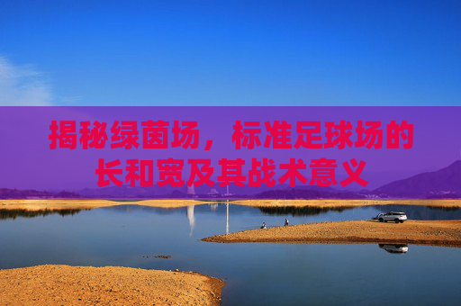 揭秘绿茵场,标准足球场的长和宽及其战术意义