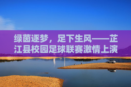 绿茵逐梦,足下生风——芷江县校园足球联赛激情上演