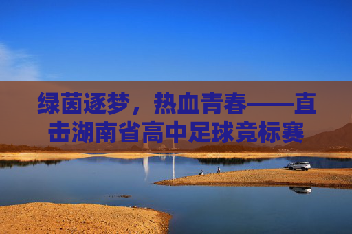 绿茵逐梦,热血青春——直击湖南省高中足球竞标赛