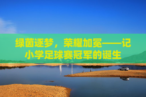 绿茵逐梦,荣耀加冕——记小学足球赛冠军的诞生