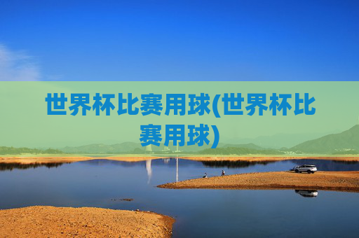 世界杯比赛用球(世界杯比赛用球)