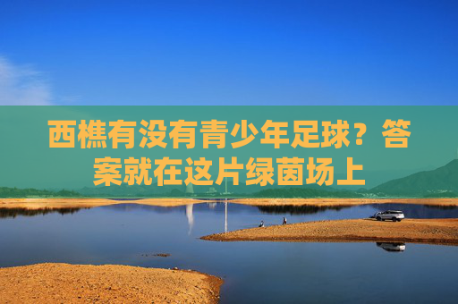 西樵有没有青少年足球?答案就在这片绿茵场上