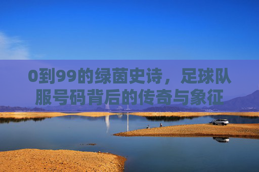 0到99的绿茵史诗,足球队服号码背后的传奇与象征