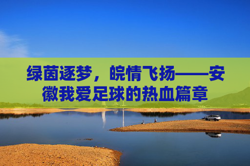 绿茵逐梦,皖情飞扬——安徽我爱足球的热血篇章