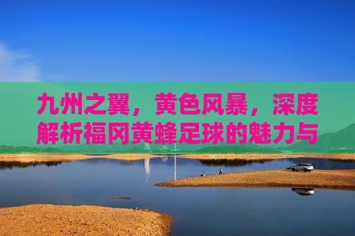 九州之翼,黄色风暴,深度解析福冈黄蜂足球的魅力与精神