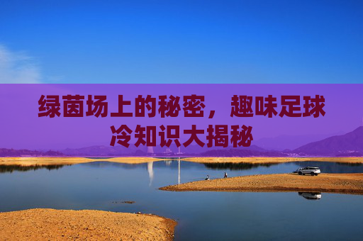 绿茵场上的秘密，趣味足球冷知识大揭秘