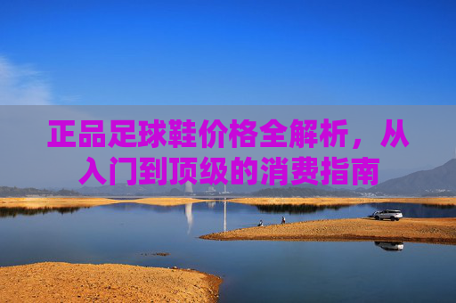 正品足球鞋价格全解析，从入门到顶级的消费指南