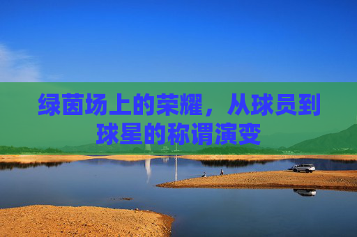 绿茵场上的荣耀，从球员到球星的称谓演变