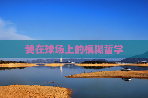 我在球场上的模糊哲学