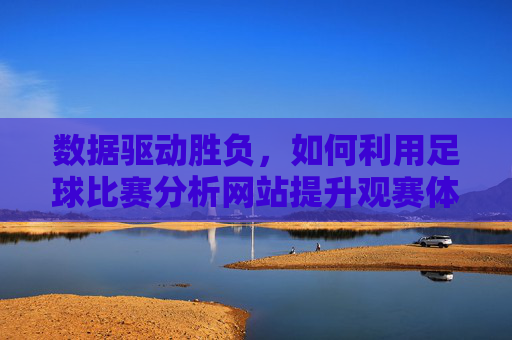 数据驱动胜负,如何利用足球比赛分析网站提升观赛体验与决策力