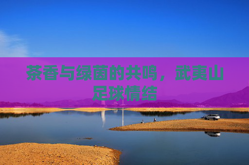 茶香与绿茵的共鸣,武夷山足球情结
