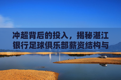冲超背后的投入,揭秘湛江银行足球俱乐部薪资结构与市场行情