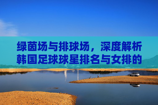 绿茵场与排球场,深度解析韩国足球球星排名与女排的辉煌征程