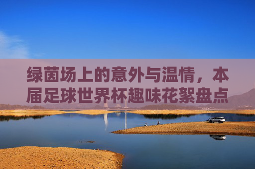 绿茵场上的意外与温情，本届足球世界杯趣味花絮盘点