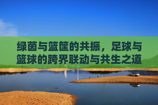 绿茵与篮筐的共振,足球与篮球的跨界联动与共生之道