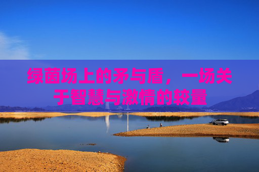 绿茵场上的矛与盾,一场关于智慧与激情的较量