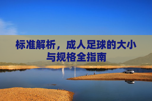 标准解析，成人足球的大小与规格全指南