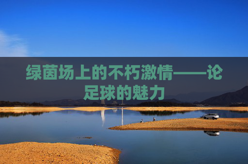 绿茵场上的不朽激情——论足球的魅力