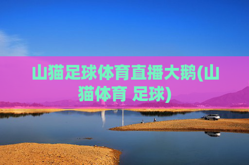 山猫足球体育直播大鹅(山猫体育 足球)
